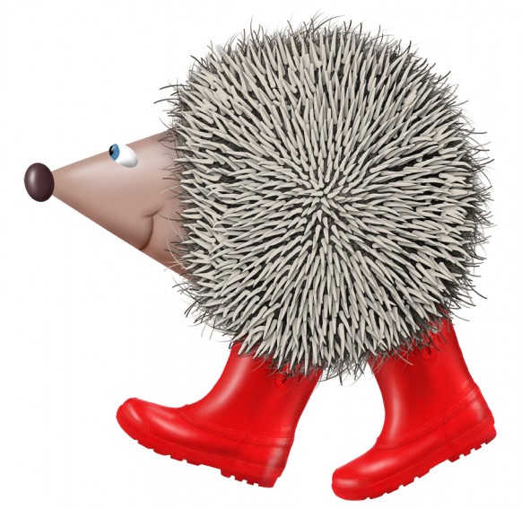 Hedgehog Garden resisdent - Harri